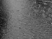 Ensurt en un pàrking i inundacions de baixos