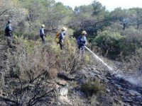 Imatge cedida pels Bombers de la Generalitat