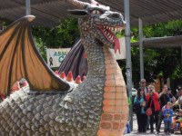 El nou Drac Baluk Astharot ja passeja per Ca n’Aurell
