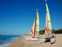 Fotografia d'una platja de Pineda de Mar // Imatge del web de Costas de Barcelona