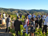 Enoturisme a Catalunya // Imatge del web http://www.turismepriorat.org/