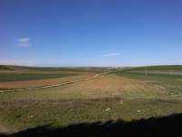 El campo