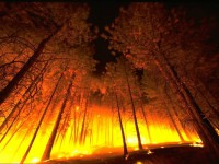 Risc incendi // Imatge del web de Wikimedia