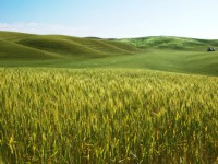 Agricultura //  Imatge del web de Pixabay