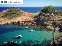 Mediterranean essence III // Foto: @mikel.ortueta