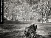 Parc de Can Feliu a la tardor // Foto: @lluisdelapresaphotography