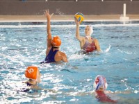 CN Terrassa femení // Imatge del CN Terrassa