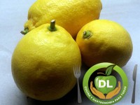 Qué sabes de…? Limones // Imatge DL cocina y gastronomia