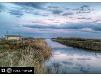 Port del Fangar, Delta de l’Ebre (@rosa.merce)