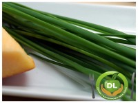 Qué sabes de…? el cebolino // Imatge DL cocina y gastronomia