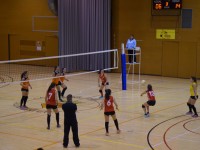 Cv Terrassa Femeni Foto: Club Voleibol Terrassa 2013