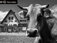Nuria Valley (@facundpc)