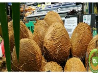 Què en saps de …? EL COCO