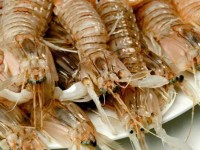 Galeres// Foto: Gastroteca.cat